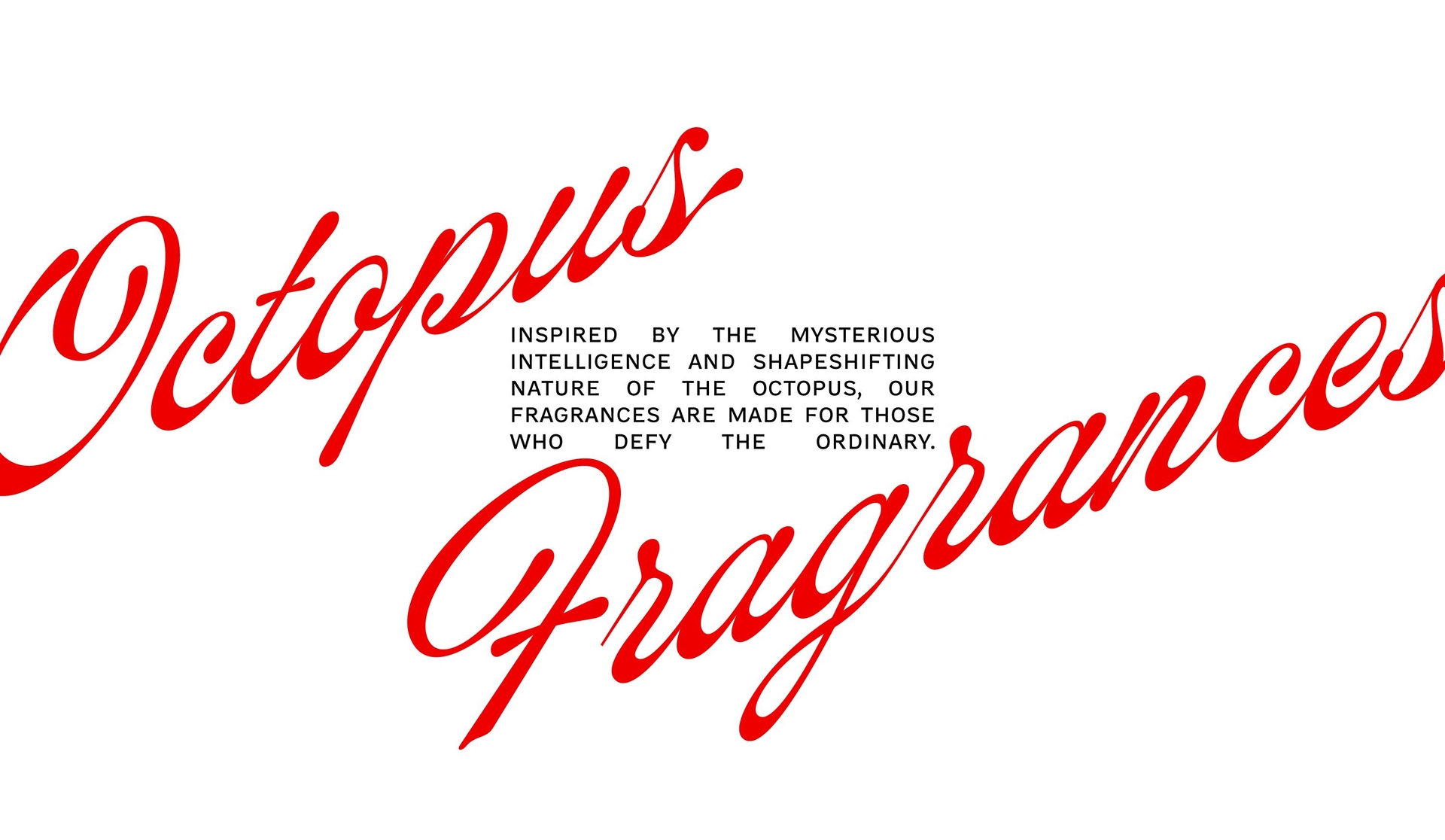 Edge to Edge Text_Octopus.jpg