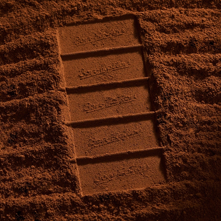 16.2-cacaopowderimprint-bonfiction.jpg