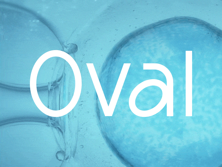 Thumbnail GIF_4Nov.gif