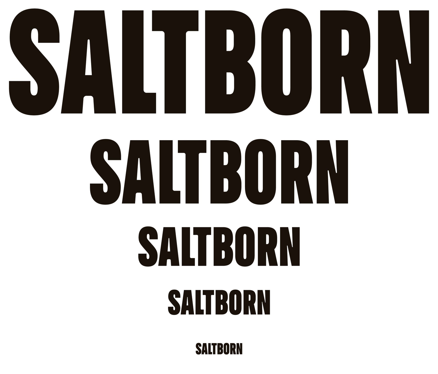 06_Saltborn_Logo Sizing.jpg